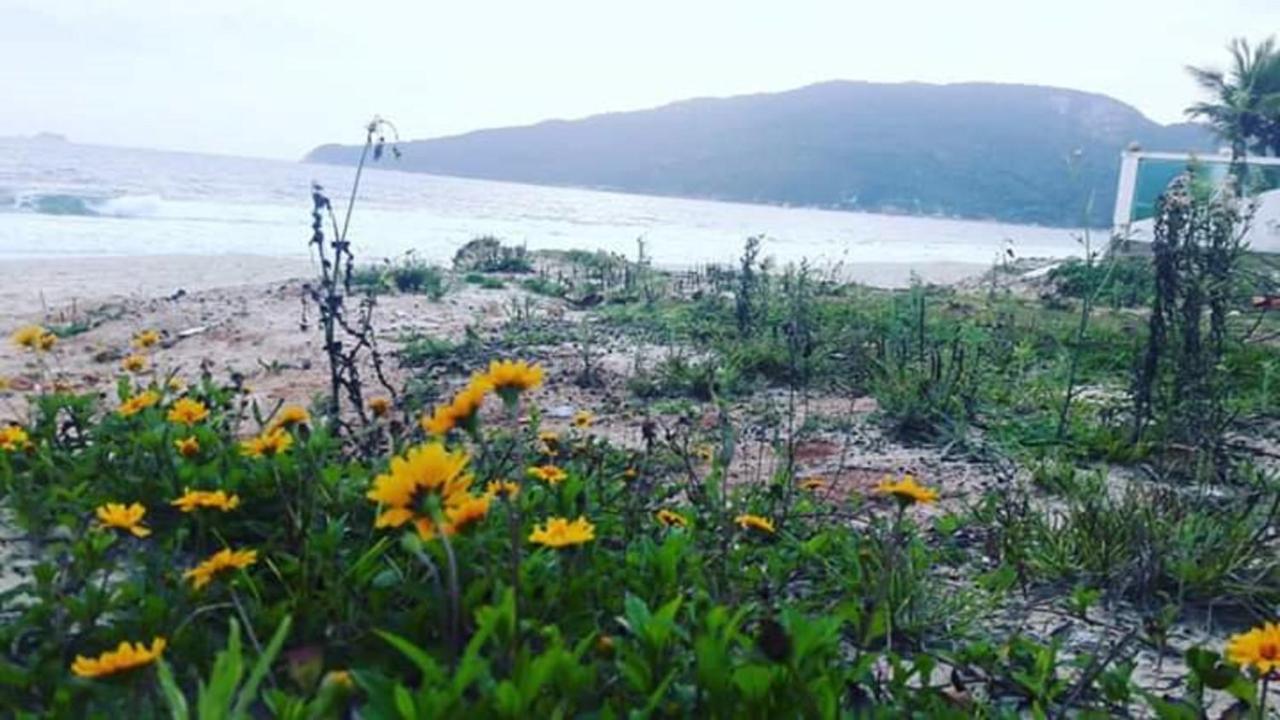 Hospedaria Green Florianópolis Eksteriør billede